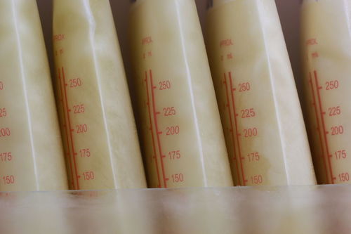 保定紅星宣紙 傳統與創新的交融——不干膠紙防偽技術開發與銷售新篇章