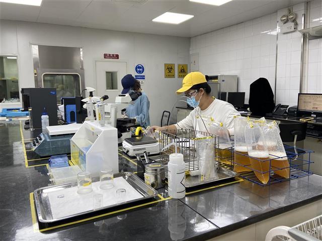 落戶漢陽35載 百威武漢工廠以卓越品質(zhì)助力“新漢陽造”文化崛起
